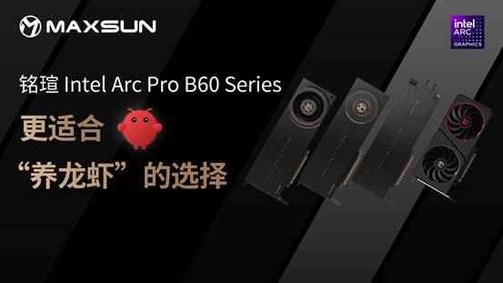 MAXSUN Intel Arc Pro B60 SERIES-1080